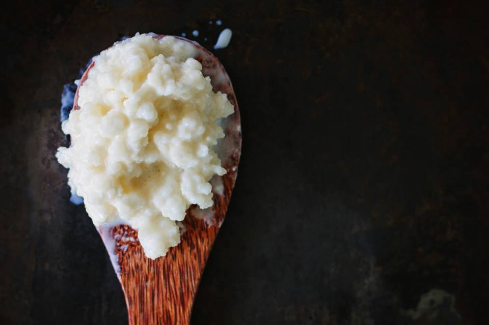 Kefir Grains Online
