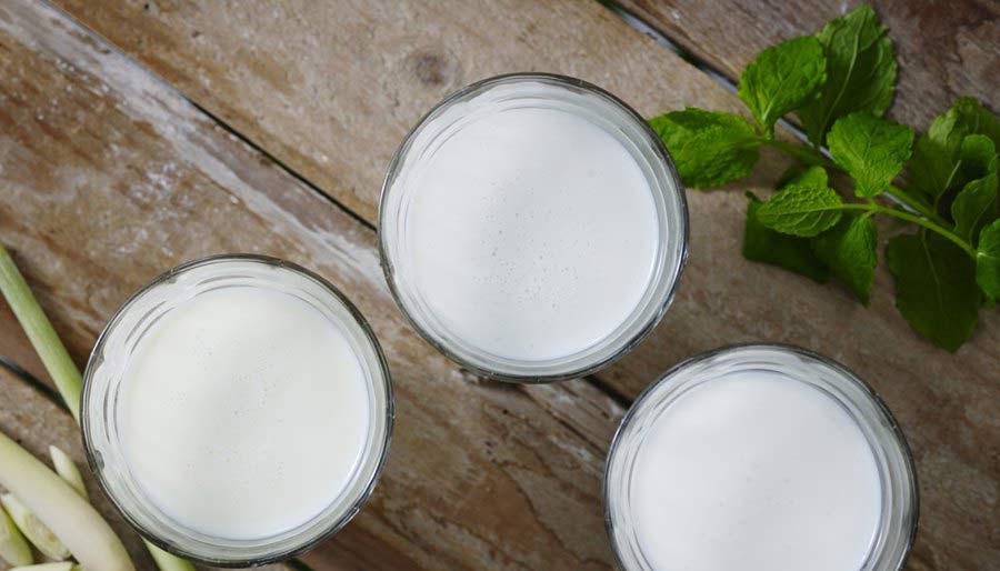 Buy Kefir Grains Online Madhya Pradesh