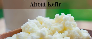 Buy Kefir Grains Online in Daman and Diu