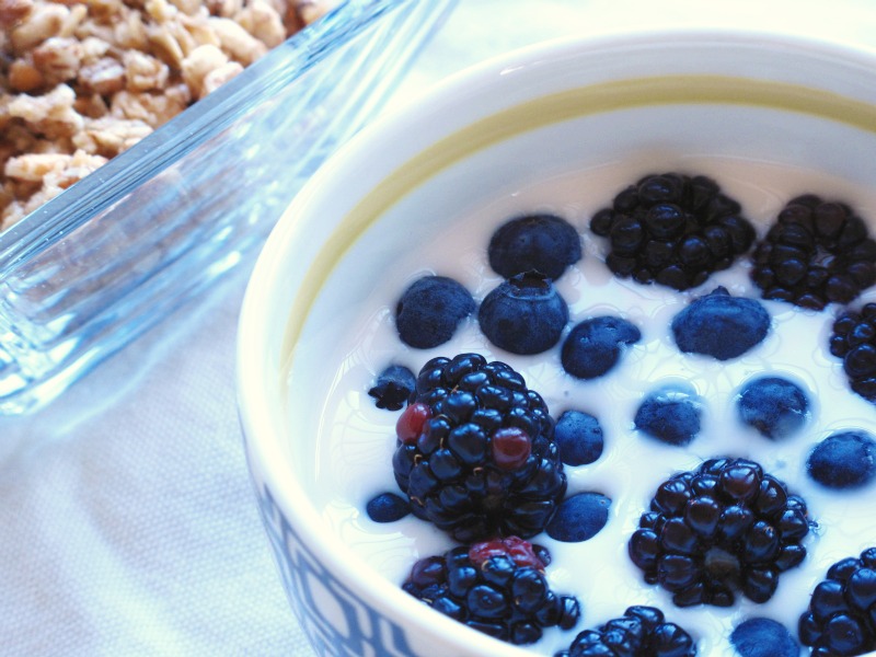 Buy Kefir Grains Online in Gurgaon