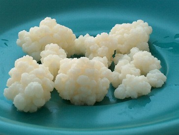 Buy Kefir Grains online in Kerala 