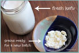 Buy Kefir Grains Online in Tripura