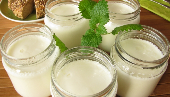 Buy Kefir Online in Delhi 