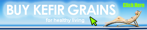 Buy Kefir Grains online in Dubai 