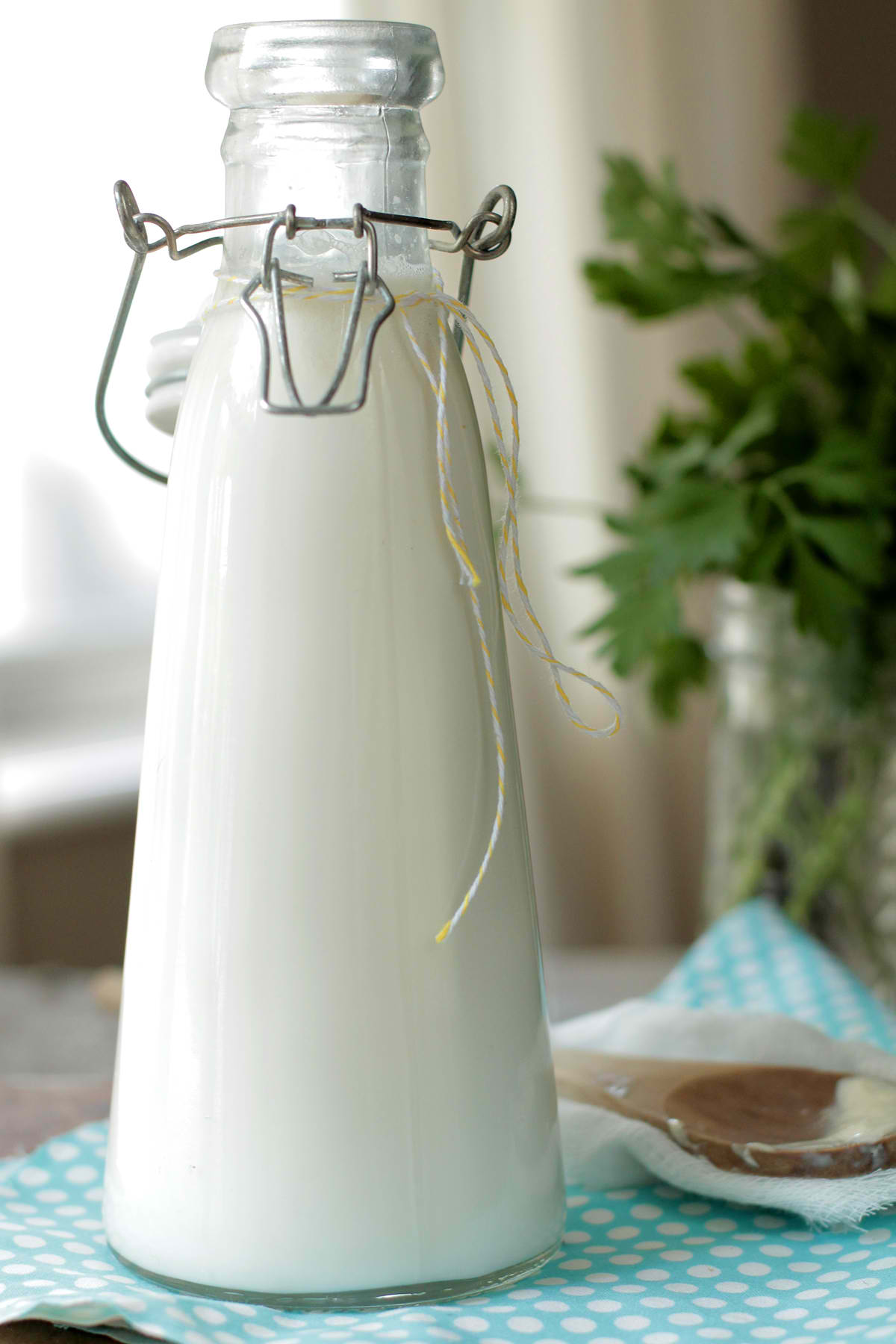 Buy Kefir Grains Online Surat