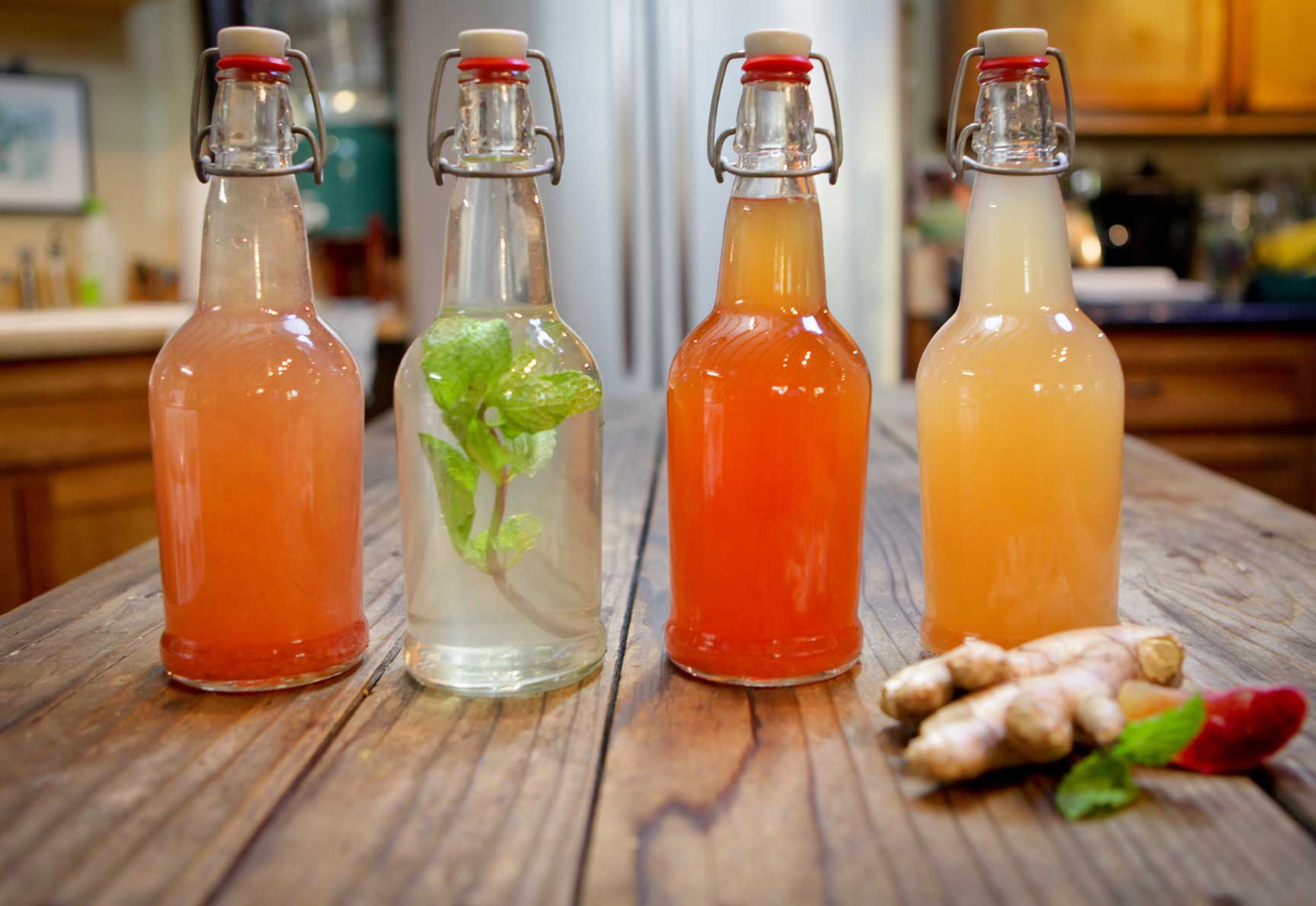 Buy Water Kefir Grains Online in India