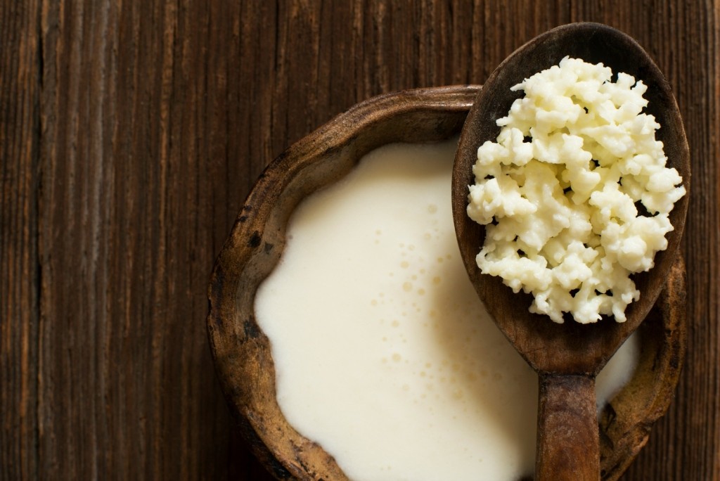 Buy Kefir Grains online in Agra